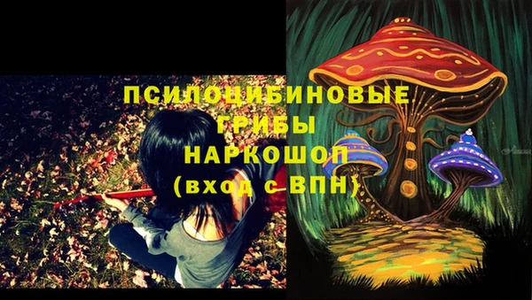 apvp Нижневартовск