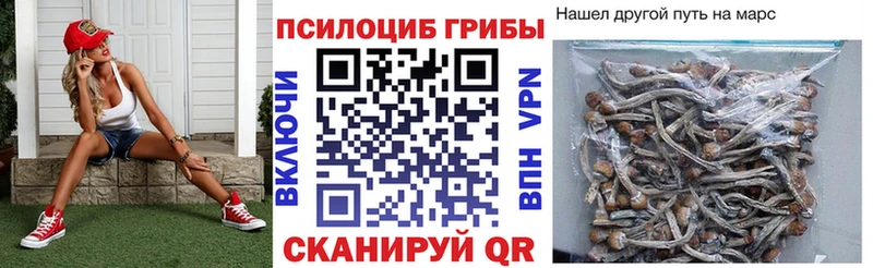 Псилоцибиновые грибы прущие грибы  Александровск-Сахалинский 